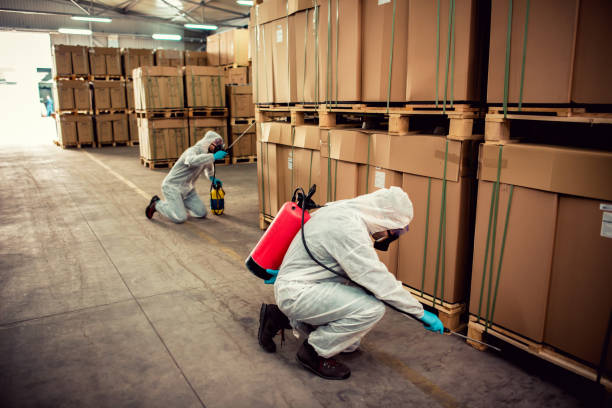 Reliable Maywood Park, OR Pest Control Solutions