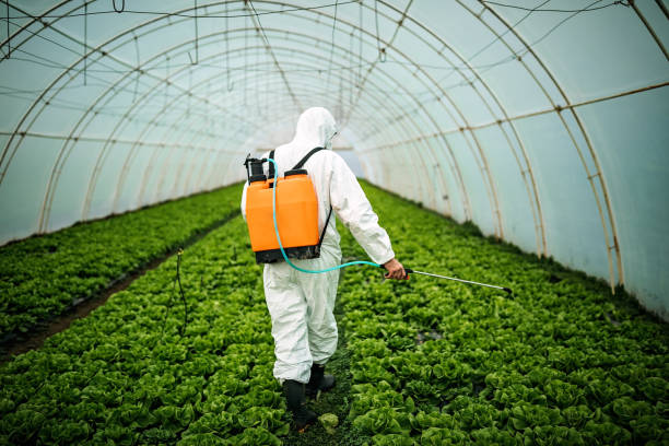 Best Pest Control Near Me in Maywood Park, OR