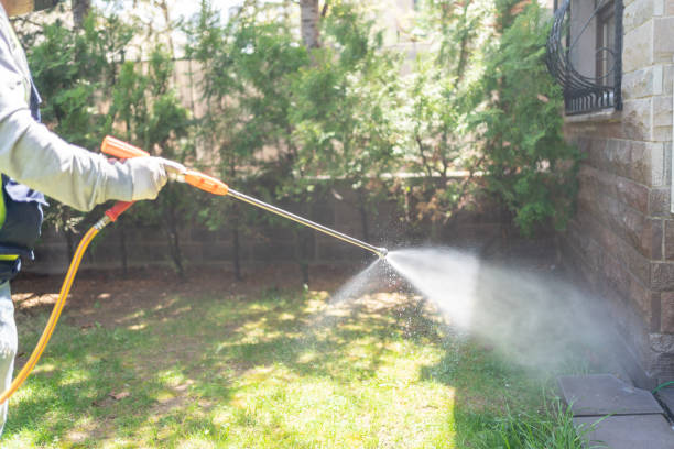 Best Pest Control Treatment  in Maywood Park, OR