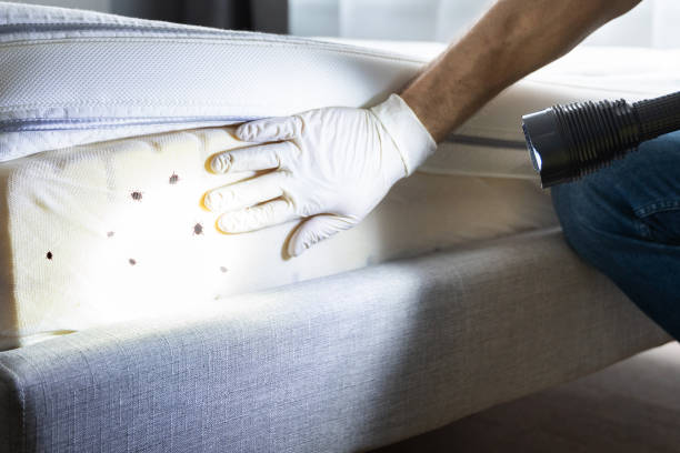 Pest Control Cost in Maywood Park, OR