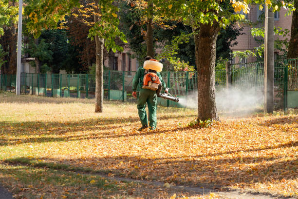 Best Pest Inspection Near Me  in Maywood Park, OR